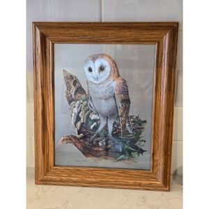 Audrey North Barn Owl FOIL Art Wildlife Print Vintage Wood Framed 10x12